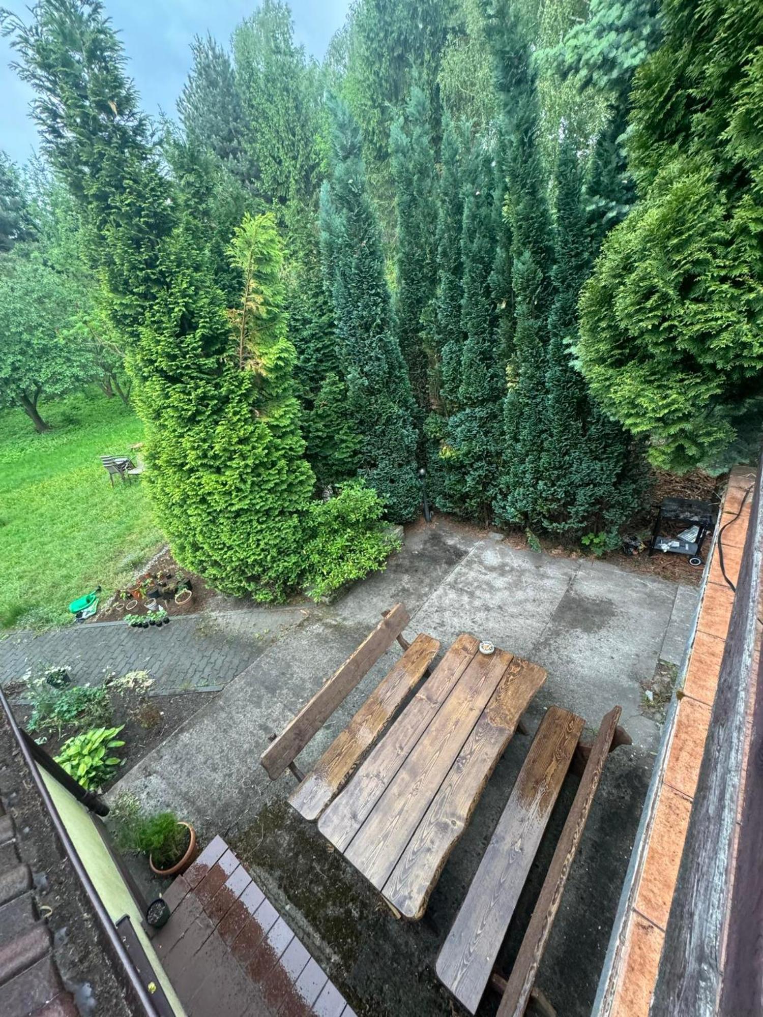 Zielony Zakatek Piechowice  Habitación foto