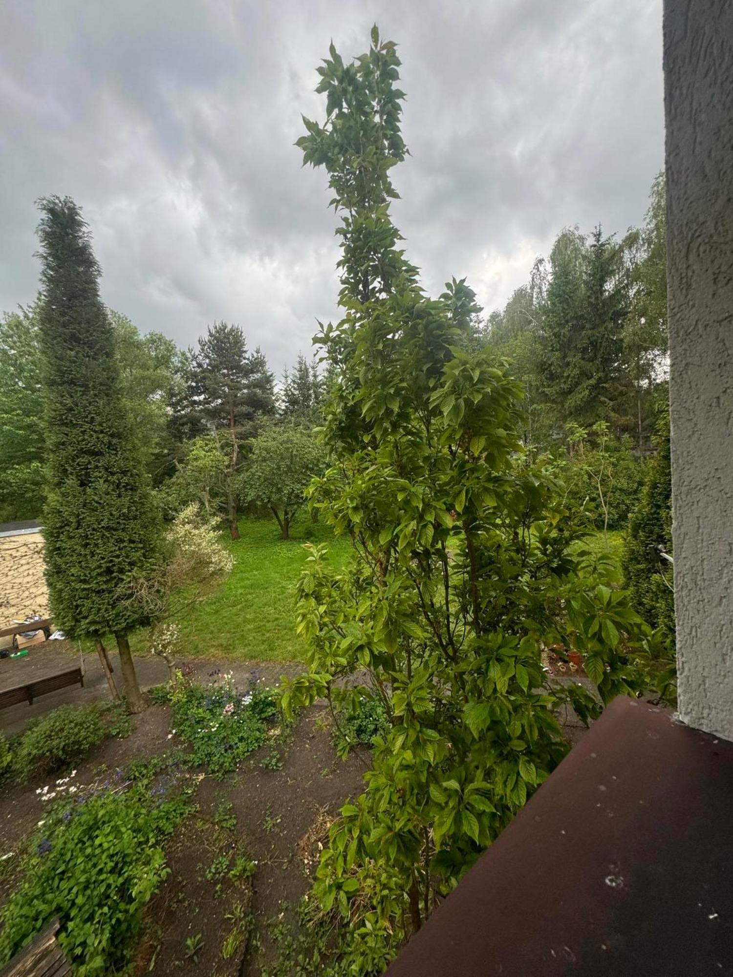 Zielony Zakatek Piechowice  Habitación foto
